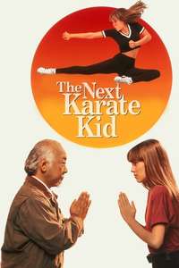 The Next Karate Kid - Poster