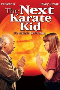The Next Karate Kid - Poster