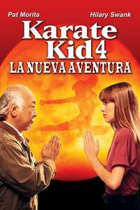 The Next Karate Kid - Poster
