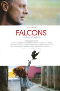 Falcons - Poster