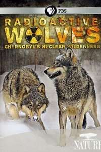 Radioactive Wolves: Chernobyl's Nuclear Wilderness - Poster