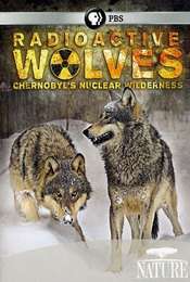 Radioactive Wolves: Chernobyl's Nuclear Wilderness