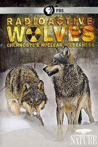Radioactive Wolves: Chernobyl's Nuclear Wilderness - Poster