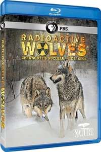 Radioactive Wolves: Chernobyl's Nuclear Wilderness - Poster