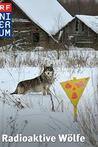 Radioactive Wolves: Chernobyl's Nuclear Wilderness - Poster