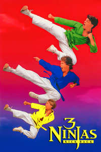 3 Ninjas Kick Back - Poster