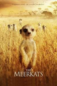 The Meerkats - Poster