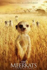 The Meerkats - Poster
