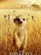 The Meerkats