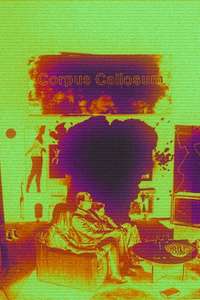 *Corpus Callosum - Poster