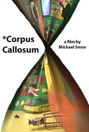 *Corpus Callosum