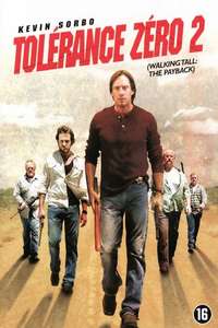 Walking Tall: The Payback - Poster