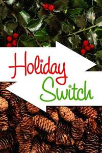 Holiday Switch - Poster
