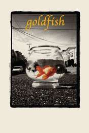 Goldfish