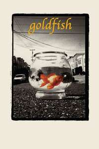 Goldfish - Poster