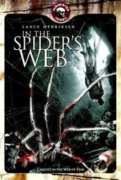 In The Spider's Web