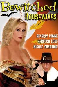 Bewitched Housewives - Poster