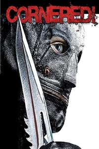 Cornered! - Poster