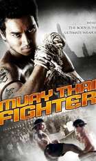 Muay Thai Fighter