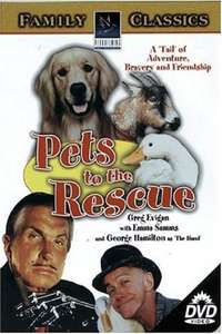Pets - Poster