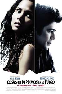 Things We Lost in the Fire - Poster