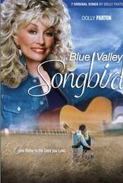 Blue Valley Songbird