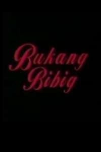 Bukang Bibig - Poster