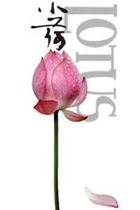 Lotus - Poster