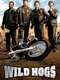 Wild Hogs
