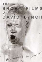 The Short Films of David Lynch