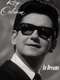 In Dreams: The Roy Orbison Story