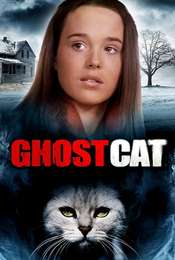 Mrs. Ashboro's Cat