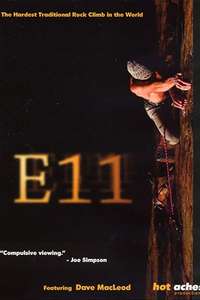 E11 - Poster