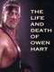 The Life and Death of Owen Hart