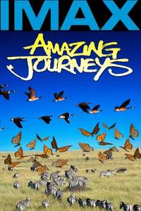 Amazing Journeys - Poster