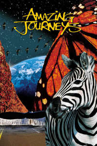 Amazing Journeys - Poster
