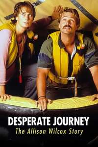 Desperate Journey: The Allison Wilcox Story - Poster