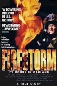 Firestorm: 72 Hours in Oakland - Poster