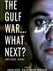 The Gulf War... What Next?