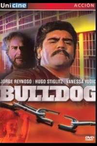 Bulldog - Poster