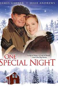 One Special Night - Poster
