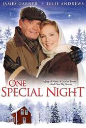 One Special Night