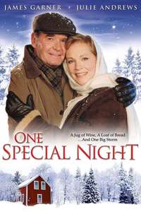 One Special Night - Poster