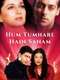 Hum Tumhare Hain Sanam