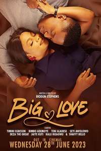 Big Love - Posters