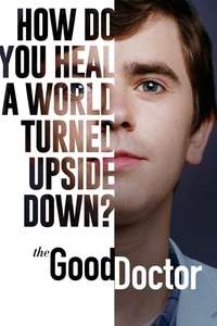The Good Doctor - Posters