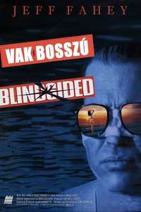Blindsided - Poster