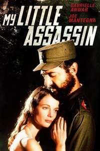 My Little Assassin - Poster