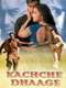 Kachche Dhaage