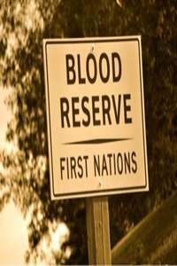 Bloodland - Poster
